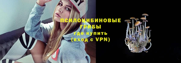 прущий лед Аркадак