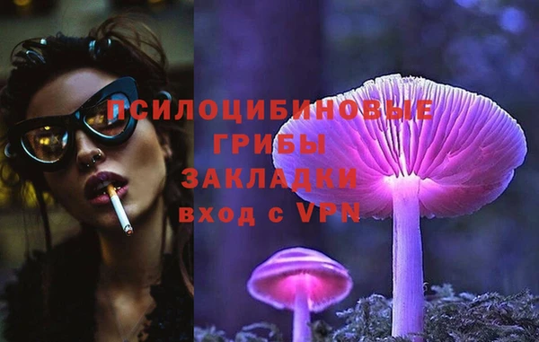 прущий лед Аркадак