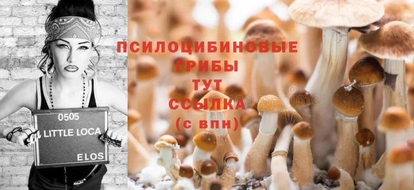 прущий лед Аркадак