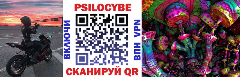 Псилоцибиновые грибы Psilocybe  наркота  Бабушкин 